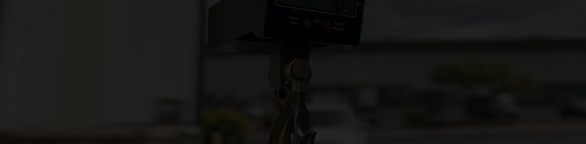 Crane Scale